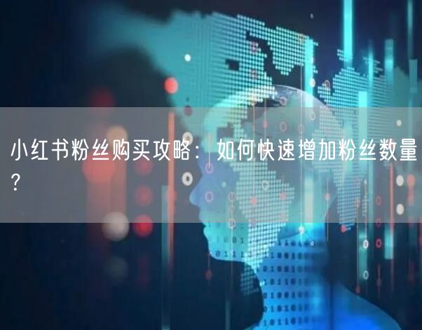 小红书粉丝购买攻略:如何快速增加粉丝数量?