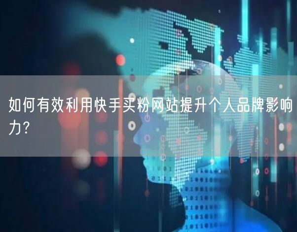 如何有效利用快手买粉网站提升个人品牌影响力?