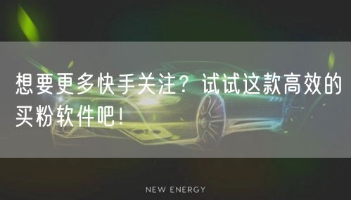 想要更多快手关注？试试这款高效的买粉软件吧！