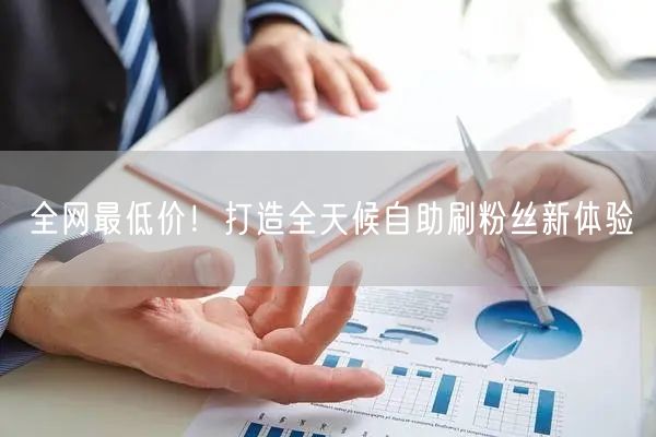 全网最低价！打造全天候自助刷粉丝新体验