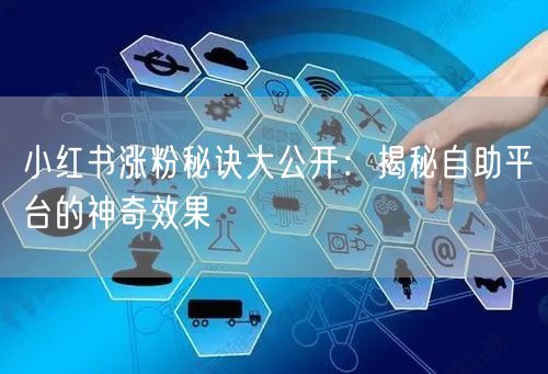 小红书涨粉秘诀大公开：揭秘自助平台的神奇效果