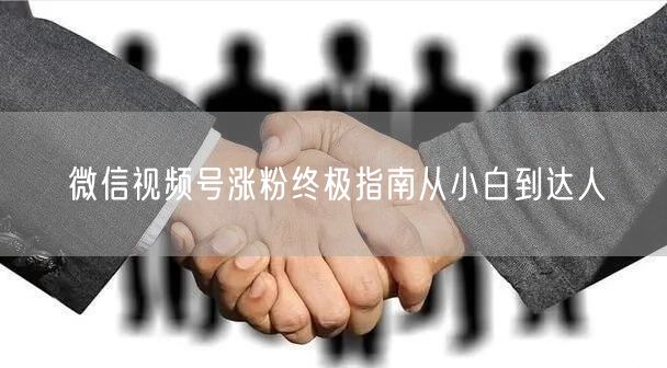 微信视频号涨粉终极指南从小白到达人